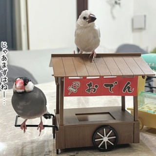 ブンチョ日誌