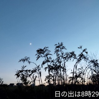 ソワレが要らないフランス暮らし