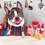 ゆうなぎ動物病院