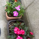 少しゆっくり時間