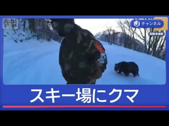 長野のスキー場にクマ！