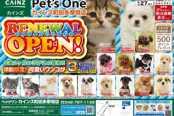 東京都 町田市 ワンラブ カインズ町田多摩境店 ブログ 17年08月