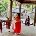 2026年4月ゆるリ～トのご報告　日吉大社・比叡山、そして奄美へ