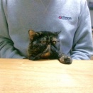 気が乗らない💦