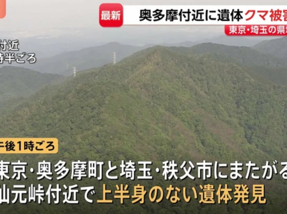 東京でクマに襲われたと見られる上半身のない遺体を発見