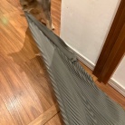 脱ぎたてのズボンを狙われ、変態になる飼い主…