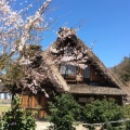 旅を楽しむことは