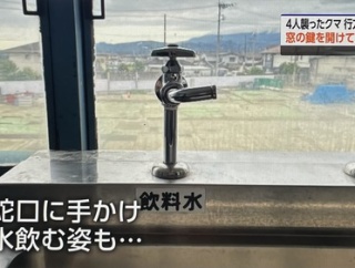 【悲報】クマ、自分で水道の蛇口を開けて水を飲むスーパークマに進化するｗｗｗｗ