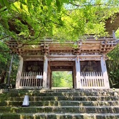 高知の旅③