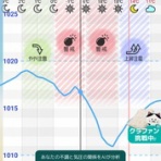 大きいマルチーズ☆ニノさん。