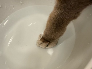ぼくちん、俺手手入ってるよ…