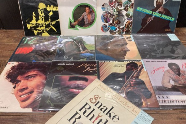Paul Stephens - Nubian Knights レコード Paul Stephens - Nubian Knights レコード