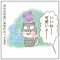 写真の撮られ方