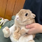 動物園の一日