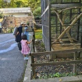 動物園探検！