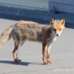 生き物たちの棲家