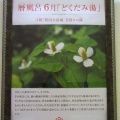 みなと温泉　蓮　・・・　女将