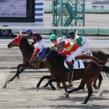 『【当たる！？レース予想】今年度も本ブログで「門別競馬予想印」配信いたします！』の画像
