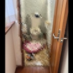 【画像】青森県民さん、今日の地震でトイレがとんでもないことになってしまう・・・