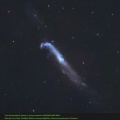 (2000mm) The Hummingbird Galaxy In Canes Venatici (NGC4656,NGC4657)