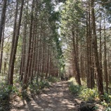 『能登半島、志賀町、輪島市』の画像