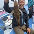 イワシの泳がせ　近場　2組