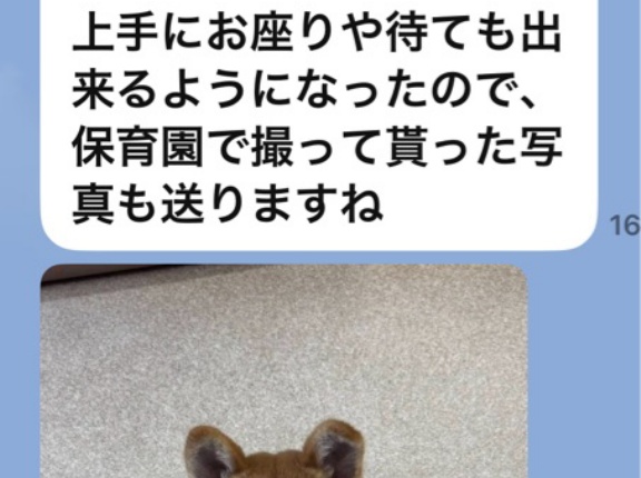 幸せを掴んだ子供達🩷🐶🩷