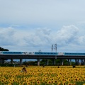 SparkLing  Dreams  Shinkansen：8/9②