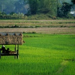 風の動物病院のブログ