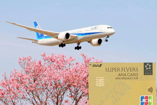 SFC 修行 2026 沖縄15往復 50万円 de 達成❗ OKAタッチ (PP単価5円