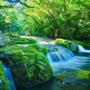 自分の弱点に気づく