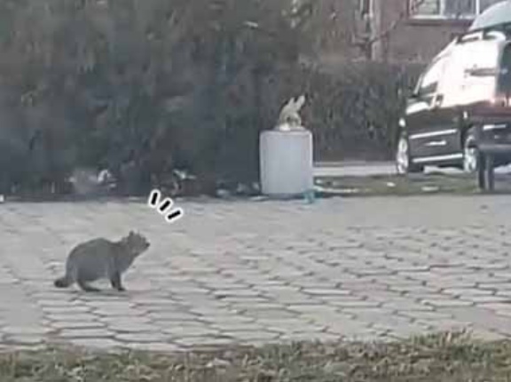 未確認飛行物体が現れた。この町の平和はボクが守る！ → パトロール中のヒーローはこうした…