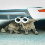 Turbo Bee - 自動車・バイク動画のターボビー