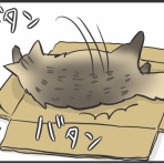 おそらくその平凡こそ幸せ　猫と私と家族の日常