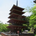 花の寺　長谷寺へ3