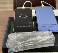 まだ人の時代ですね。