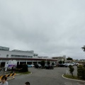 今年で130周年〜JRAで最も長い歴史がある函館競馬場のVIPルームで馬券買い‼️