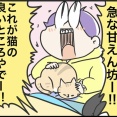 猫が膝に乗ってくるわけ