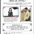 今後の予定