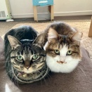 あっという間に半世紀