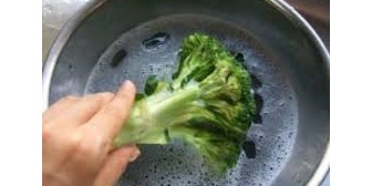 関東住みのトメが震災以来野菜を洗剤で洗うようになった…私は東北産でもいいから洗剤で洗ってないのが食べたいよ…