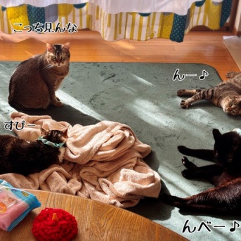 春とは名ばかり☆雑談