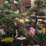 『 帝国ホテルにて♡』の画像