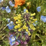 MUSIC MAKES US HAPPY!