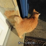 ソワレが要らないフランス暮らし