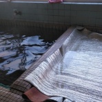 ROBERTのblog