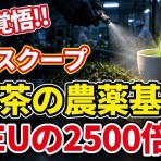 かいにちニュース　【海外の反応】