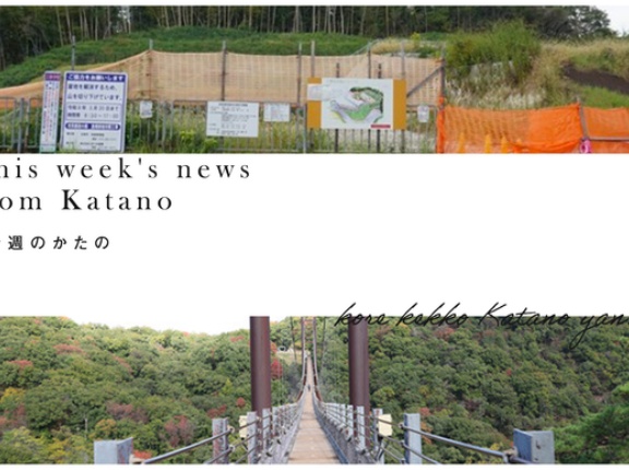 星のブランコちょっと紅葉しつつあったり、南星台バス停前の崖工事ほぼ終わったり【今週のかたの】