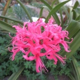 『また増えた？？？』の画像