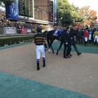 『ジャパンカップ　予想見解』の画像